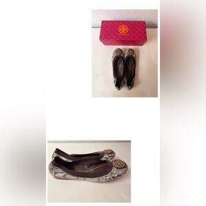 Tory Burch Caroline Ballet Flats Snakeskin | Gold Medallion Logo w/ Box
